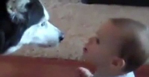 ������С����������Գ���