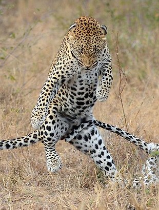 ���������衱���Ϸ����ޱ�����ҳ��ͼ��