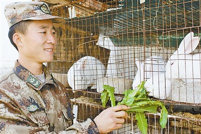 解放军农副业生产用上高科技:一人搞定30亩菜田