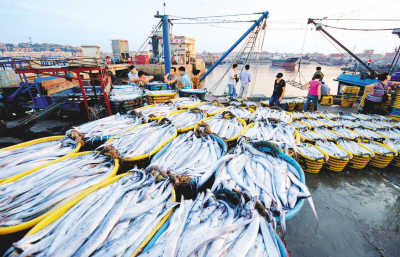 20129£ʯʨ֥ۣ񽫵㵺̻صĴϰ Ź 