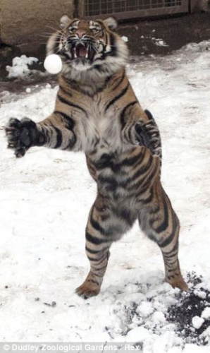 ��Щ�ϻ��������ȴ����ֵ����Ŵ�������