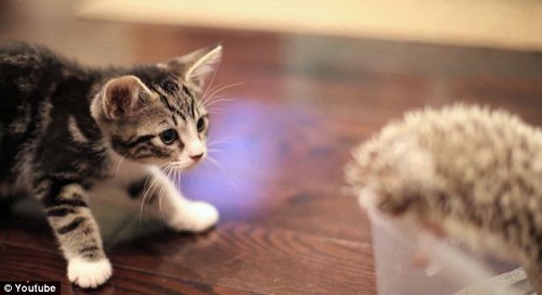 Сè�ʹ�⬱������־��룬��һ�Թ���