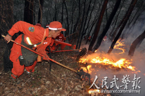 ����Эͬ��ͼƬ��Դ�������侯��