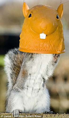 ���������ʮ�ָ��