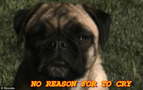 ����û�п��������ɡ�