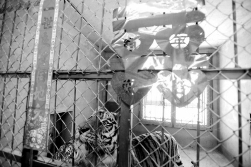 ����ֻ�ϻ��롰������