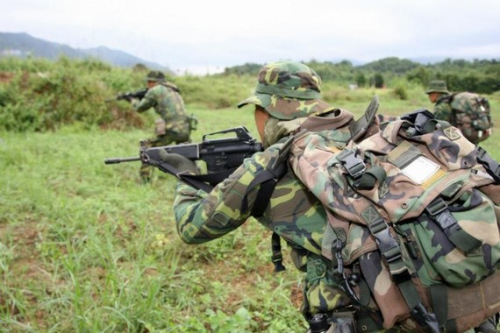台湾地区武装力量图片