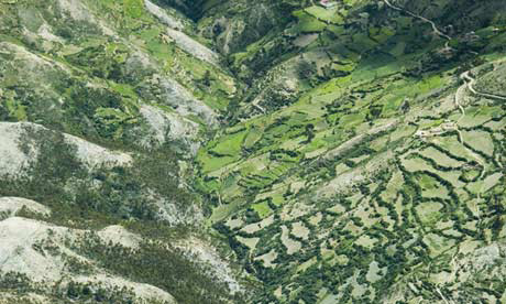 秘鲁亚马逊森林鸟瞰(网页截图) 秘鲁亚马逊森林鸟瞰(网页截图)