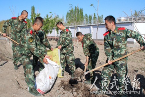 ��սʿ��һ��ֲ���Ͷ�