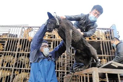 2011��4��15�գ�־Ը����С���ﱣ��Э����أ���500��ֻ���С��ж�³��������������˵Ĺ�������ҽԺ���Ρ���С���ﱣ��Э����Ϣ����Щ���������Ʒ��ó������� �¾�������ͼƬ ��� ��