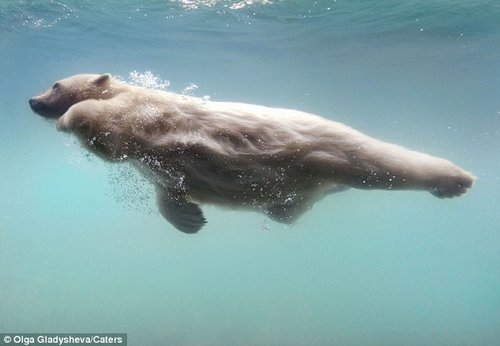 ���ھ�ͷǰ����չ���Լ��ĸ߳�Ǳˮ���ɡ�