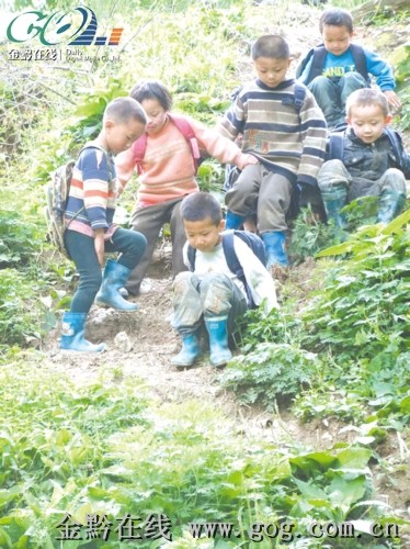 ��ѧ·�ϵĺ���