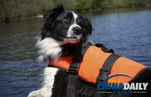 ��ɳ���ŵ�30����������ʬ�����ζ