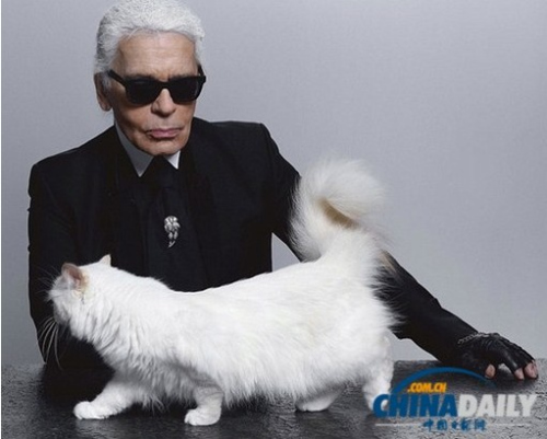 ��������һֻ�����ĳ���è