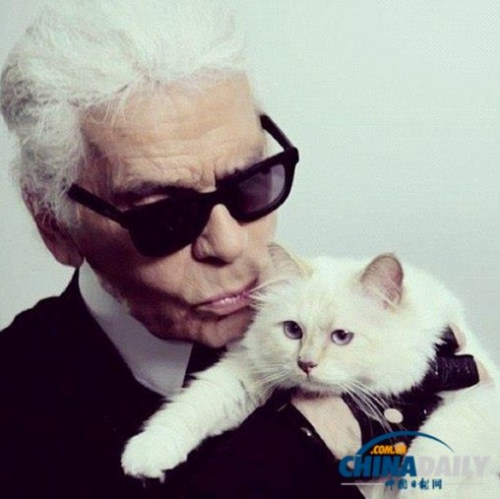 �����˵������ԵĻ�����������ؽ��