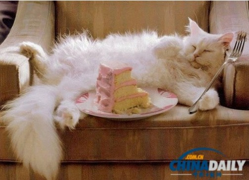 �����õ���֮��ƣ��������