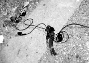 �����ڵصĶ��������������� ��