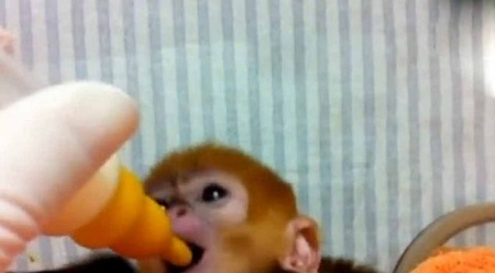 ����Ա������С��ƿ����Nuoc��ιʳ
