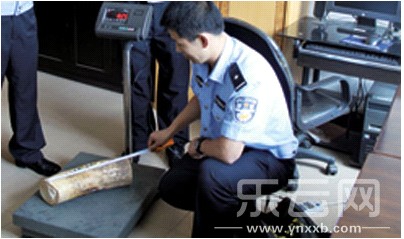 �참�񾯶�����������в������ء�������ͼ