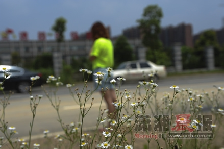 6��8�գ���´���ž�·�������ƿ��ų����⸽������ʱ����������ǿ�ǡ�ͼ/���߹�����