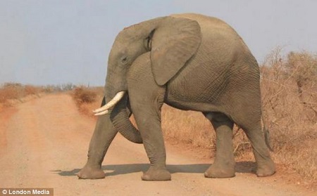 û���Ӵ���