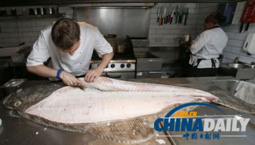 ����������������50����