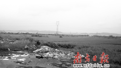 ԰������������ʯ���Ӳݺͳ�����