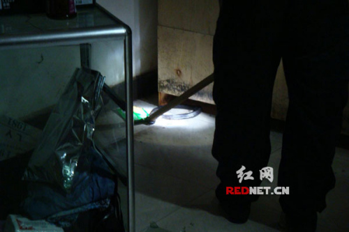 (商铺内来了一条蛇。) (商铺内来了一条蛇。)