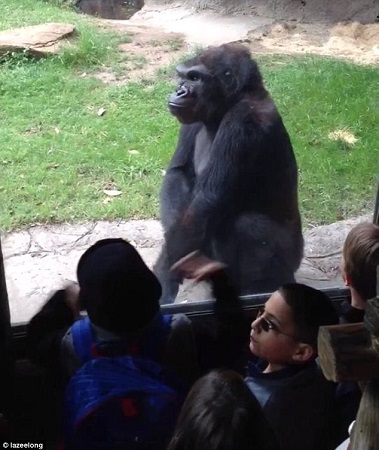 ��Ժ����ǵġ����ơ��������ɲ�Ϊ����