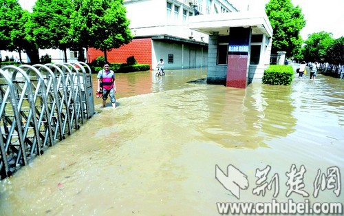 ͼΪ��������������11ʱ����ɽ��ʢ·һ����ҵ԰��ˮ��δ�� (�����������)