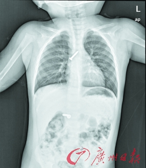 ������Ů�������ڵĸֶ���