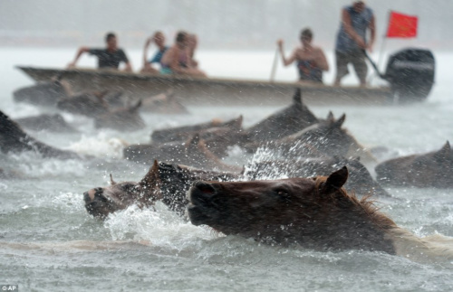 Ұ��ð�ű����ɰ������Ͽ��