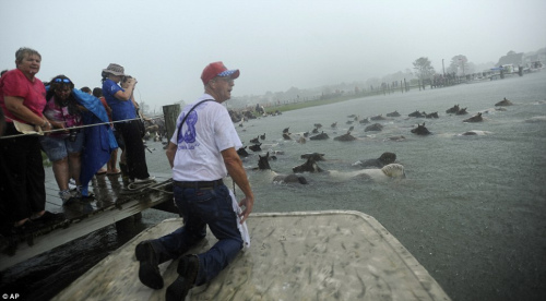 ����ǧ�������ں��ο͹ۿ��˴˴�Ұ����ɺ�Ͽ�Ļ��