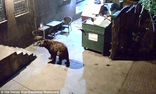 ���ܴӺ��Ŵ��������͵ʳ����ζ����