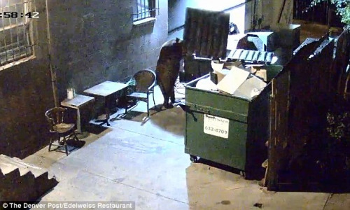 ���ܽ�����ͰŪ�����Ա��ܹ����õ�͵ʳ����ġ���ζ��