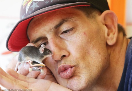 ����Ī�غ���ѵ��������