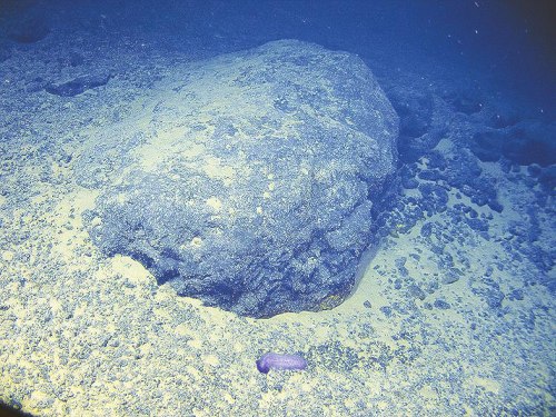 ���������Ҽ�������Ʒ