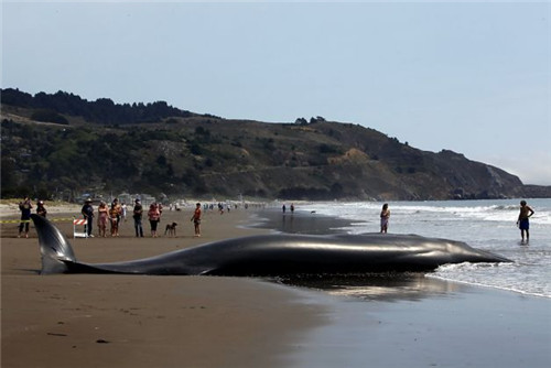 �����ǳ\4.�����й���Ա֮�����ͷ�����������ʬ����ʡ�