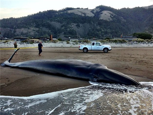 �����ǳ\3.��Ԯ��Աʩ��δ�ܳɹ���������10������������