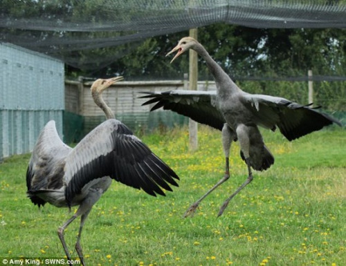 �Ӹ������㡰���⡱