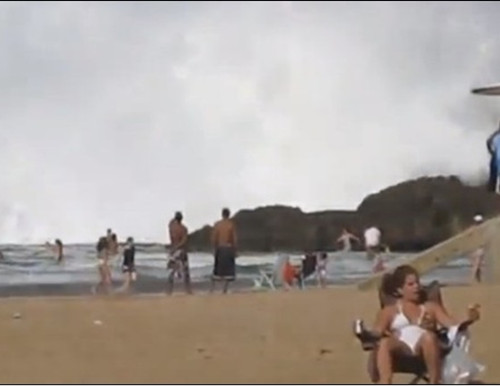 �ο��Ƿ׷����������������ˣ��������㡱�������������졣