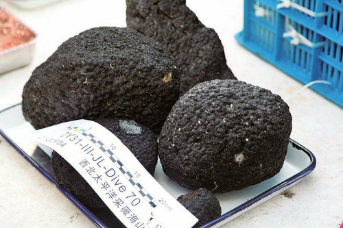 ���ܽ����Ʒ