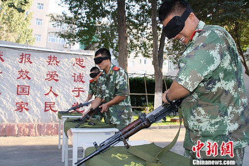 �Զ���ǹ������ϡ���