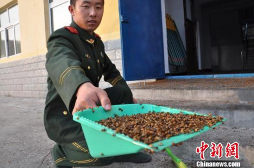 һɨһ���ӡ����¹⡡��