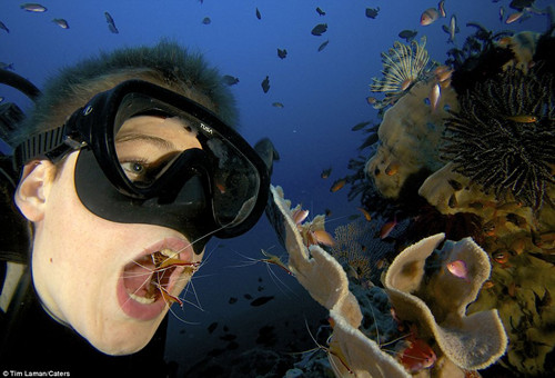 ������ˮ��ģ����Χ����Ķ������ſ������Ϻ������С�