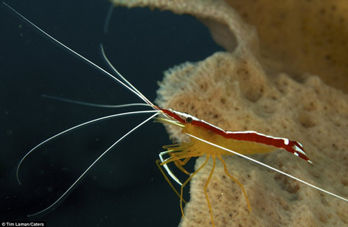 ���Ϻ���������������ʮ���ټ��ġ�