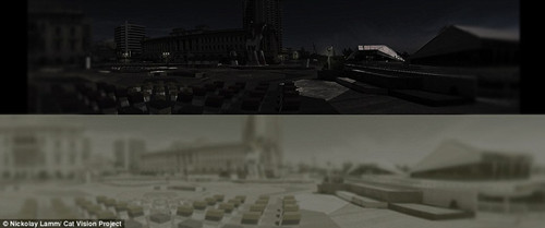 è�ƶ����ó������ƶ�Ѹ�ٵ����壬�������ó������ƶ����������塣