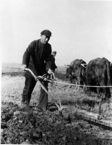 ����ïͬ־�ڲ���������