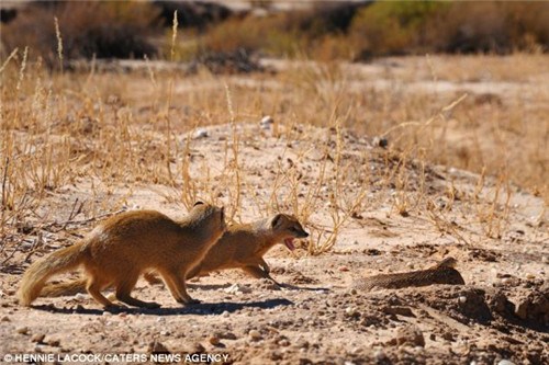 è��������ͬ����������߽���Χ����