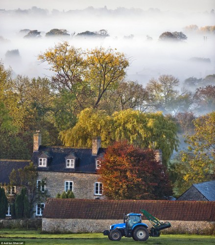 Ӣ�������Ż��ƣ�Ӣ�����ֵ������ܻ���ӭ����һ�ִ���������